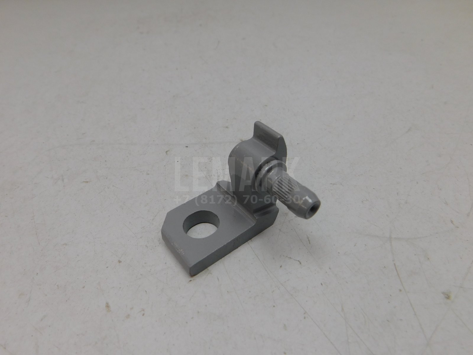 Петля двери передней левой Exeed RX 2023> J606106013DY